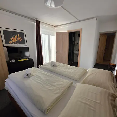 Haus Piller 4* バート・ホーフガシュタイン