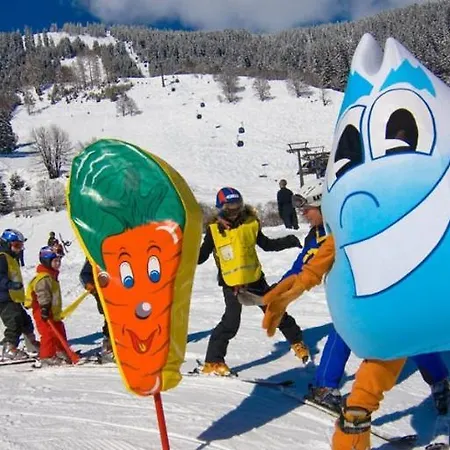 Haus Piller 4* バート・ホーフガシュタイン